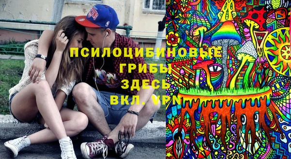 ешки Нефтегорск