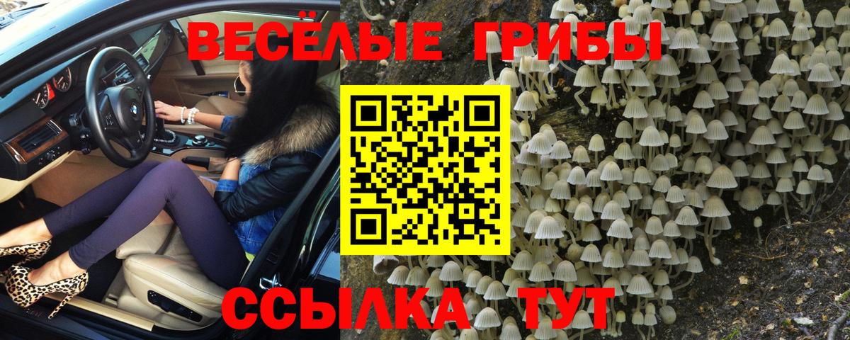 Псилоцибиновые грибы Cubensis Морозовск