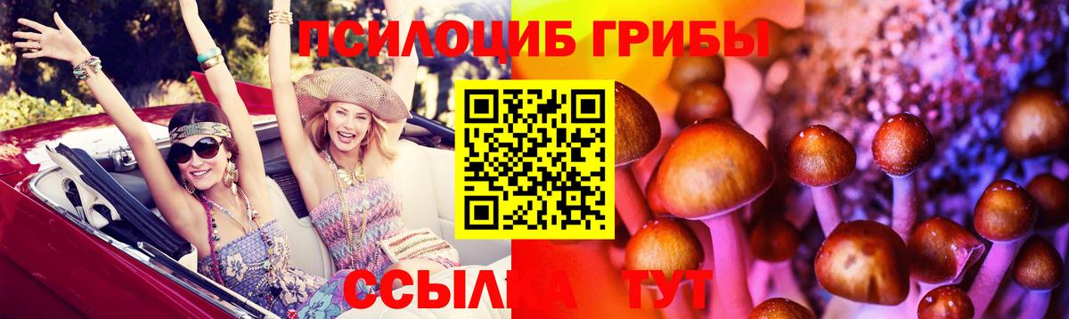 Галлюциногенные грибы Psilocybe  Морозовск  Псилоцибиновые грибы ЛСД 